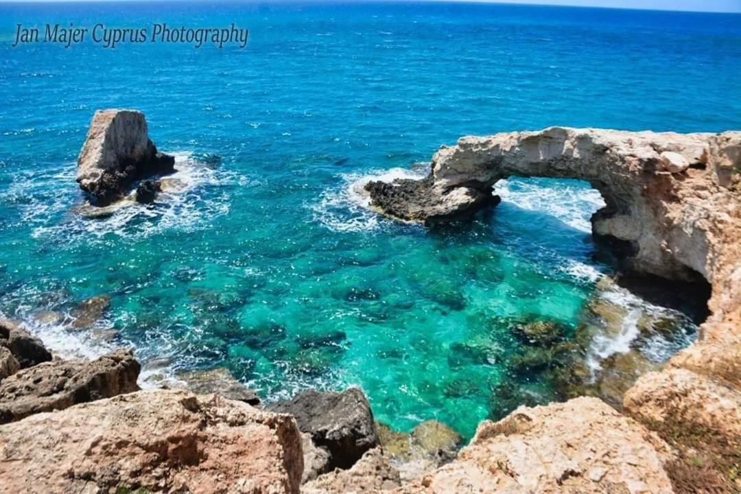 Nissi 3 Pool Access Garden Apartment Agia Napa Exterior foto